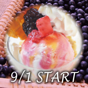 堺・宝塚の人気ラブホ、アンブレインの無料サービスメニュー。人気のホテル、カップルにおすすめ。